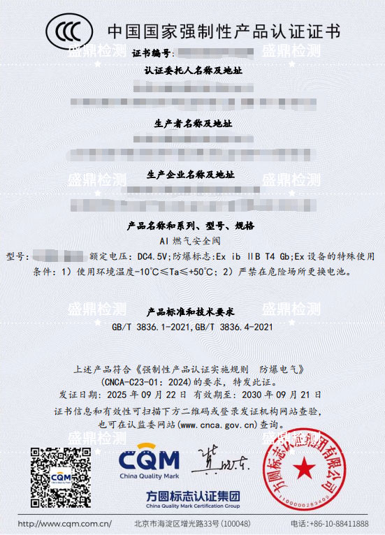 Al 燃气安全阀防爆3C认证案例